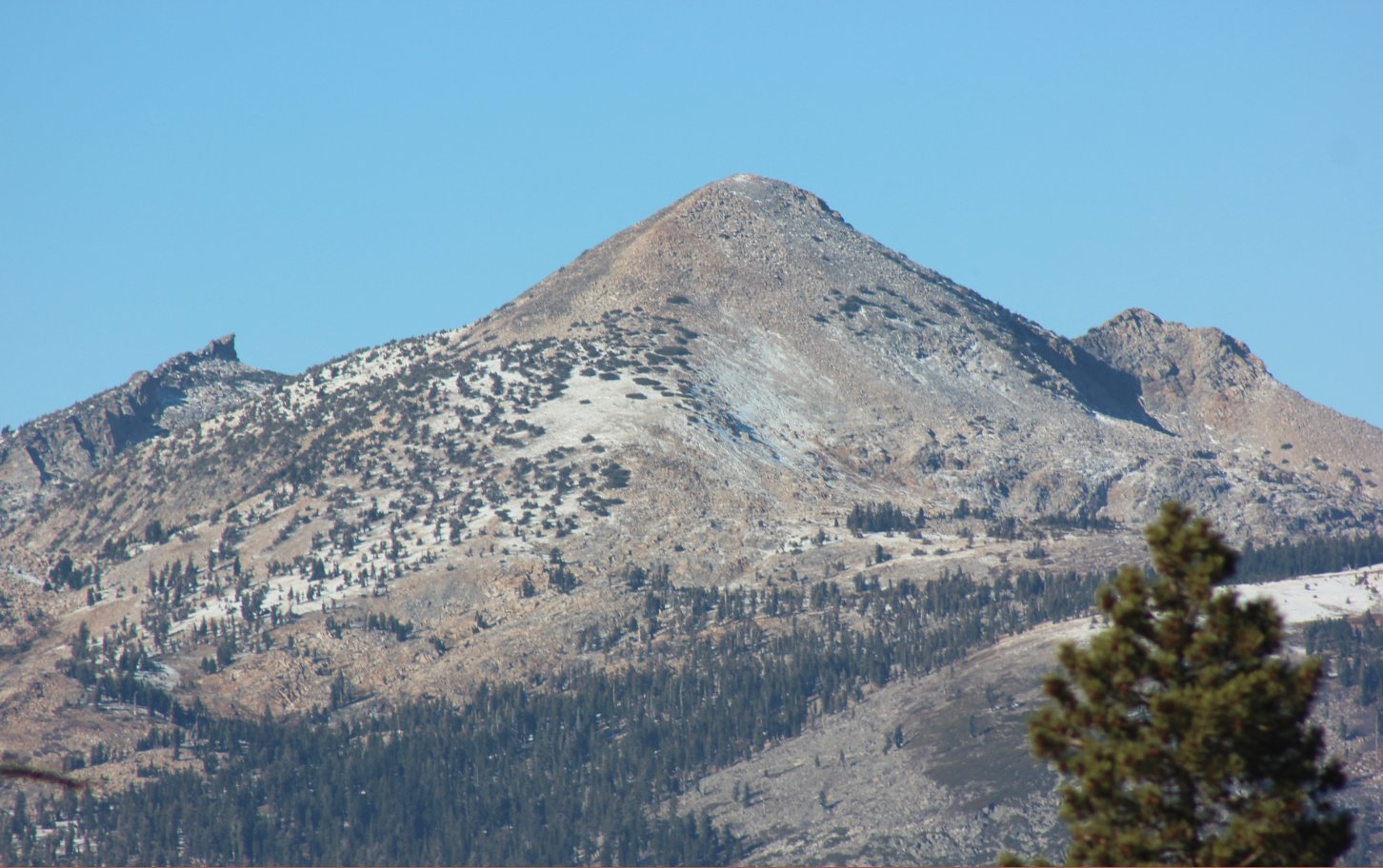 Buck Pasture & Cody Meadow Loop Hike